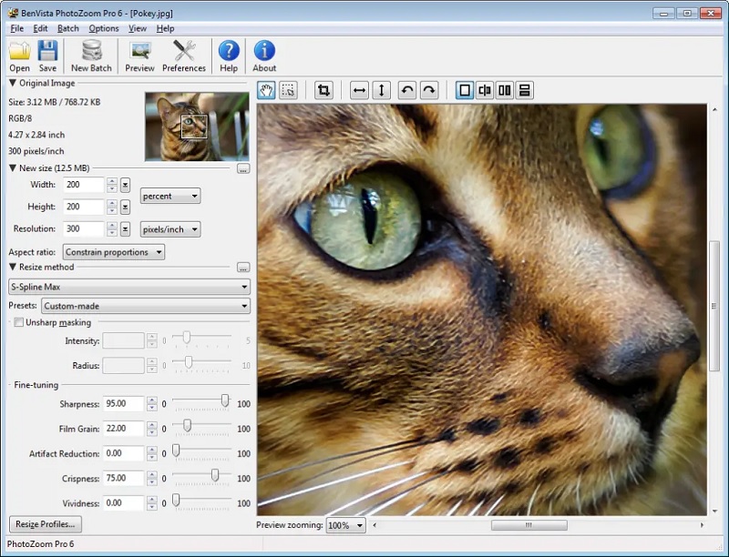 Photozoom Pro 6 Full Crack Tải xuống miễn phí cho Win/MacOS