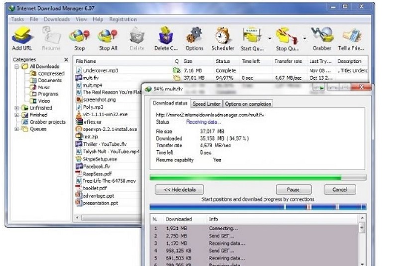 Download IDM Full Crack Tanpa Registrasi 6.42 Membangun 2